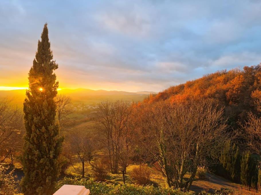 Pierres Dorees : Calme Et Detente A 2 Pas De Lyon Charnay  Dış mekan fotoğraf